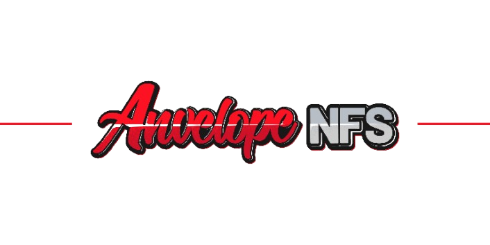 AnvelopeNFS